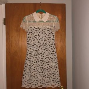 Kenzie Lace dress with Peter Pan Collar